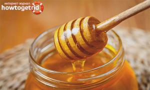 Не простые свойства мёда Питательные и лечебные свойства мёда