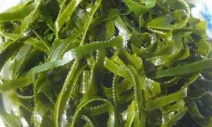 Польза и вред морской капусты для организма